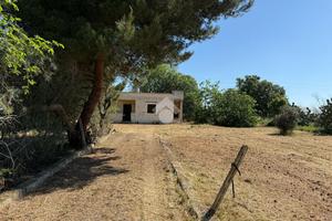 RUSTICO A BRINDISI