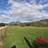 Terreno Agricolo Olbia [Cod. rif 3173023VCG]
