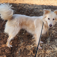 Vera 3anni vive in garage con 1figlio.COSENZA