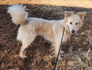 Vera 3anni vive in garage con 1figlio.COSENZA