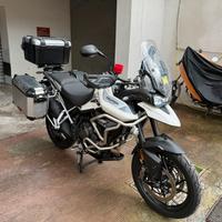 Triumph Tiger 900 GT pro 2023 - Full optional -