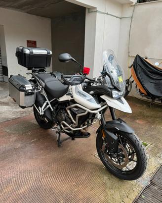 Triumph Tiger 900 GT pro 2023 - Full optional -
