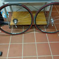 ruote campagnolo C RECORD