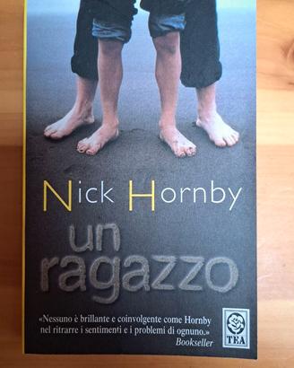 Libro "un ragazzo" - Nick Hornby