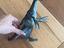 Immagine 1