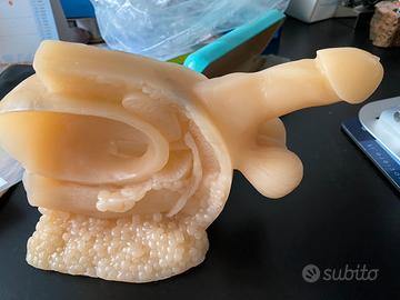 Training infermieristico catetere