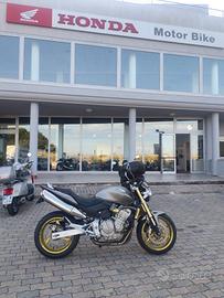Honda Hornet