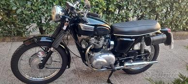 Triumph Daytona t100 1969