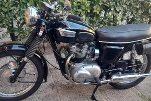 Triumph Daytona t100 1969