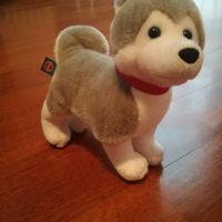 Peluche Husky Trudi