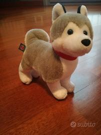 Peluche Husky Trudi