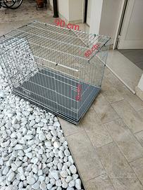 Kennel cane
