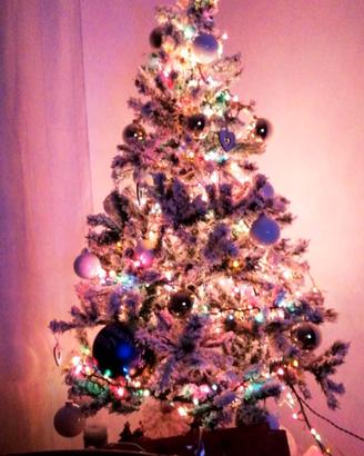 Albero di Natale
