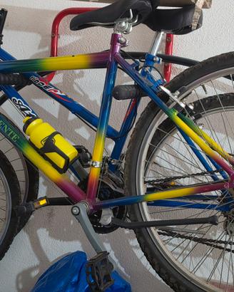 splendida coppia mountain bike  Atala e Sorgente
