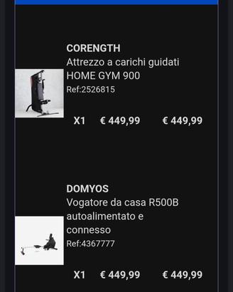 Palestra + Vogatore