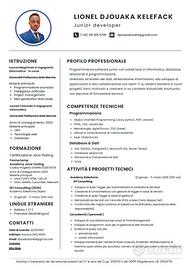 Junior Software Developer / Sviluppatore Web