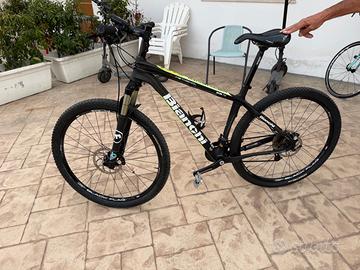 Bianchi Methanol 29.4  carbon