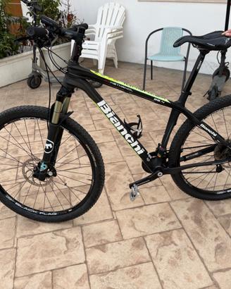 Bianchi Methanol 29.4  carbon