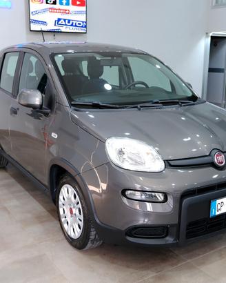 Fiat Panda Hybrid 70cv City-Life