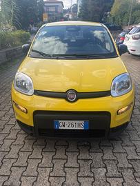 Fiat Panda Pandina