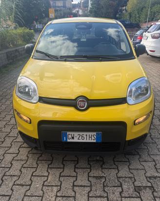 Fiat Panda Pandina