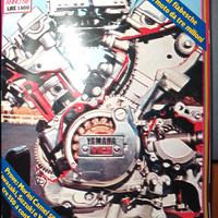 Rivista MOTOCICLISMO numero 2 del 1982
