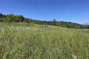 Terreno di 5645 m² a Pieve del Grappa