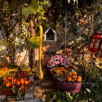 Casa tranquilla in corte