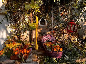 Casa tranquilla in corte