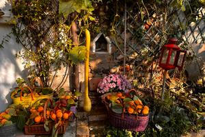 Casa tranquilla in corte