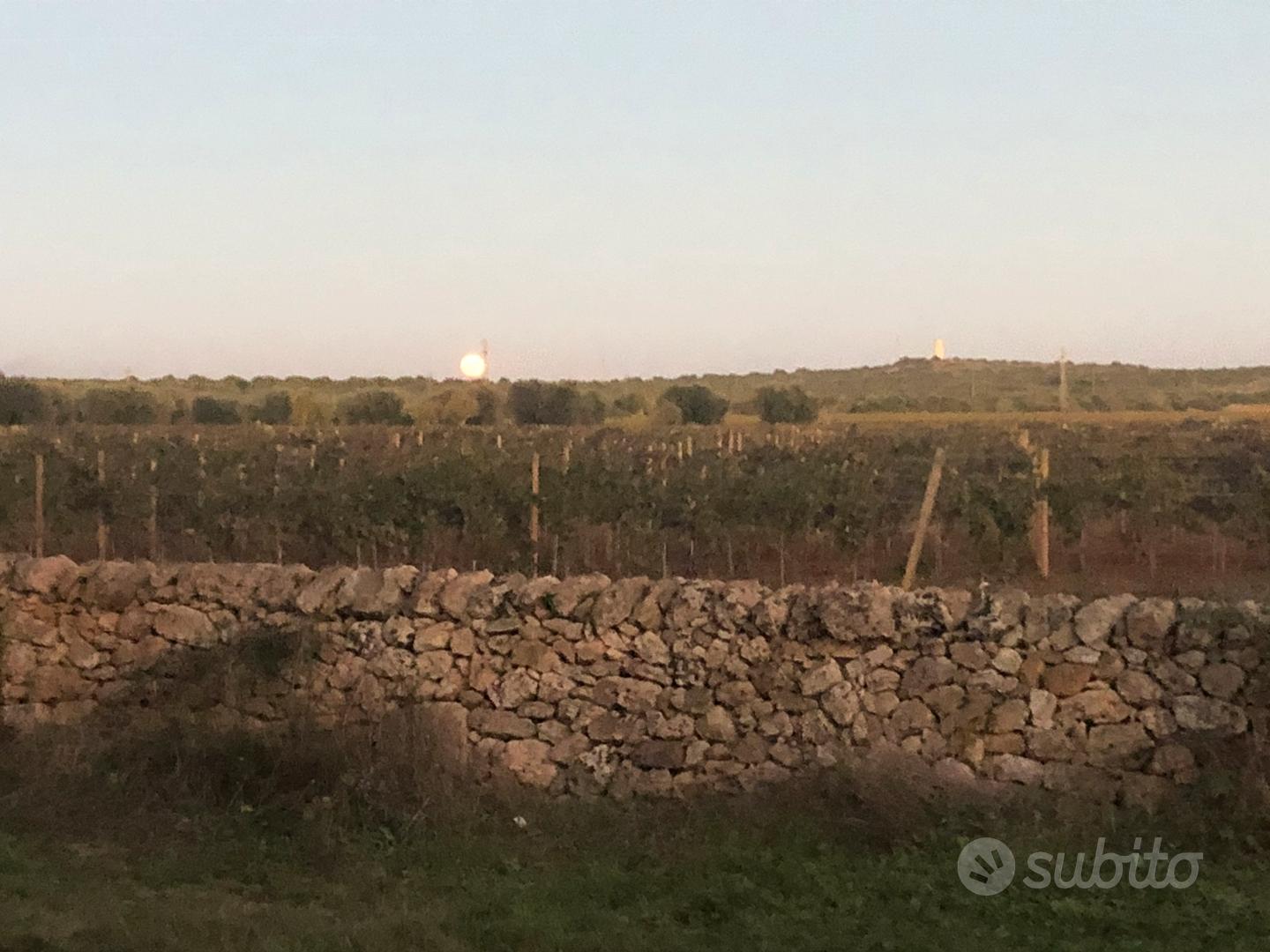 Trullo vicino al mare - Vista 3