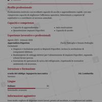 Operaio e altro