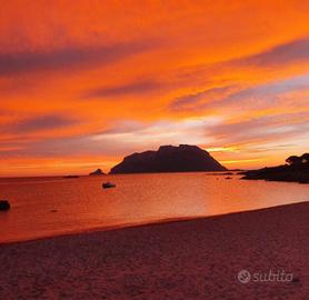 Imbarco lavoro Marinaio-Cuoco -CE R CO-