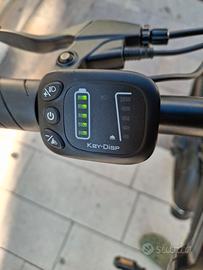 bicicletta elettrica 