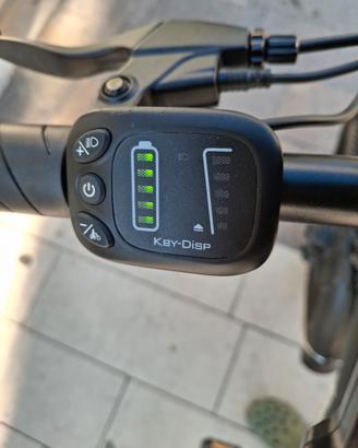 bicicletta elettrica 