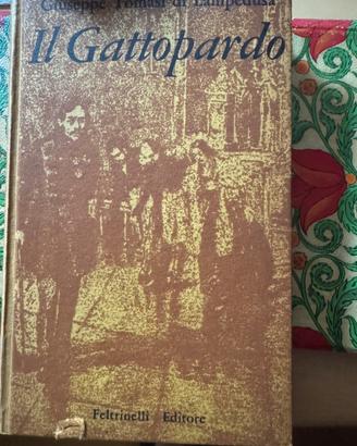 Il gattopardo