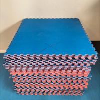 Lotto tatami molto usati spess.2cm col. rosso.blu