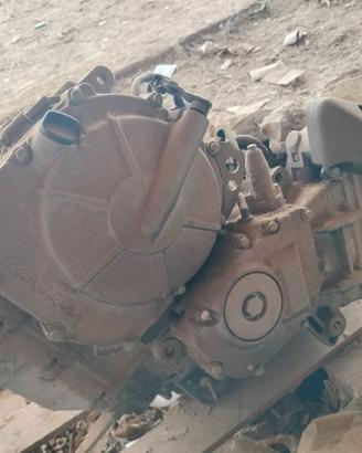 2 motori Honda Hornet