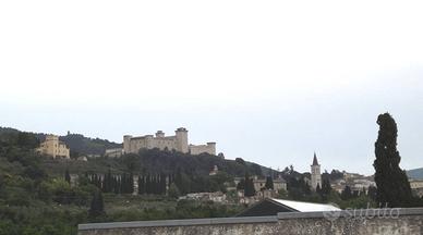 Spoleto: attico con piscina privata