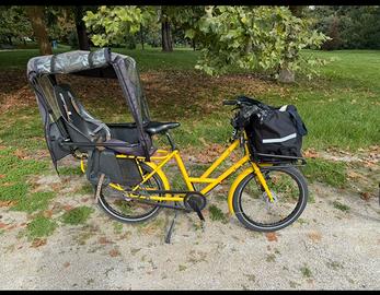Cargo Bike muscolare