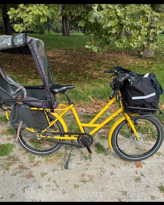 Cargo Bike muscolare