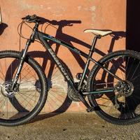 MTB Bici Bianchi Kuma 29.2