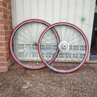 ruote campagnolo neutron