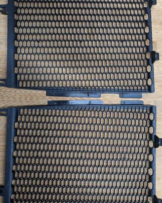 Coppia Griglie Radiatore Originali BMW R1250GS/GSA