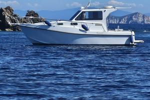 Proteo 27 linea asse