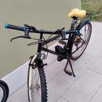 Mountain bike ROYAL 18V
