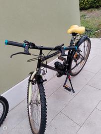 Mountain bike ROYAL 18V