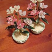 Bonsai in giada cinese