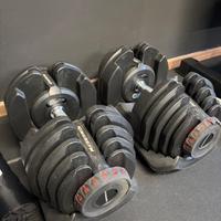 Manubri regolabili Kingsgym