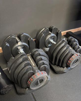 Manubri regolabili Kingsgym